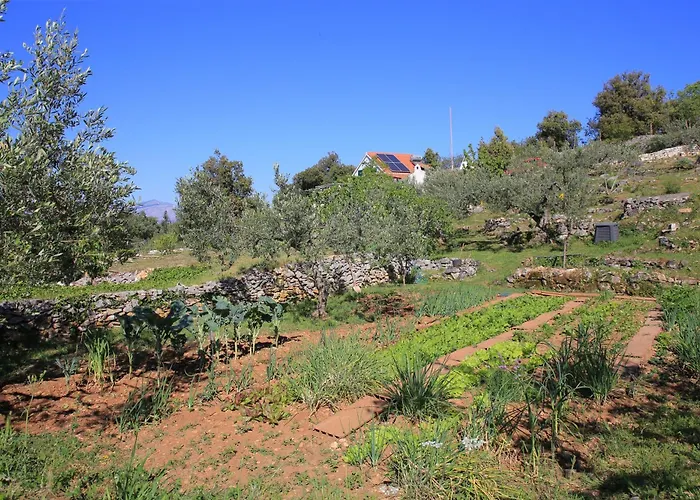 Secluded Family Friendly House Skrip, Brac - 18944 Σπίτι διακοπών Postira