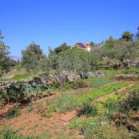 Secluded Family Friendly House Skrip, Brac - 18944 Будинок відпочинку Постіра